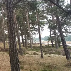 Höllviken Cultural Center - Höllviken