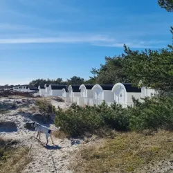 Ljunghusen Beach - Höllviken