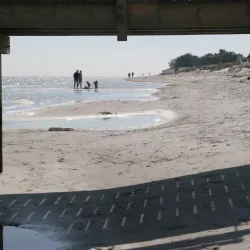 Ljunghusen Beach - Höllviken