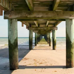 Ljunghusen Beach - Höllviken