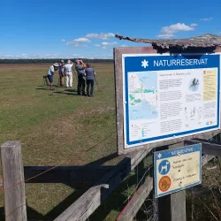 Skanör-Falsterbo Bird Observatory - Höllviken