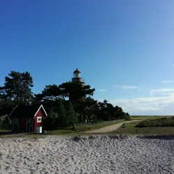 Skanör-Falsterbo Bird Observatory - Höllviken