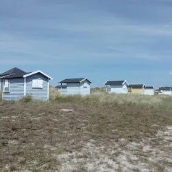Skanör-Falsterbo Bird Observatory - Höllviken