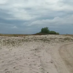 Skanör-Falsterbo Bird Observatory - Höllviken