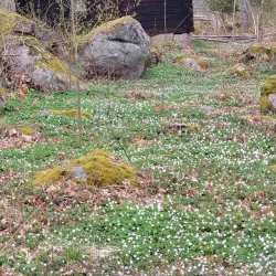 Högsby Cultural Center - Hogsby