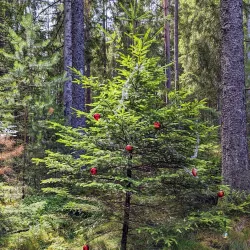 Horred Nature Trails - Horred