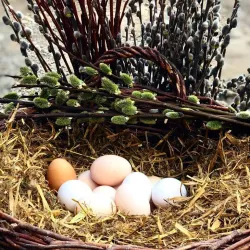 Local Farms and Agricultural Experiences - Horred