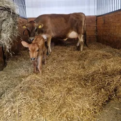 Local Farms and Agricultural Experiences - Horred