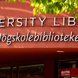 Jonkoping County Library - Jonkoping