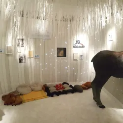 Jonkoping County Museum - Jonkoping