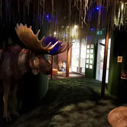 Jonkoping County Museum - Jonkoping