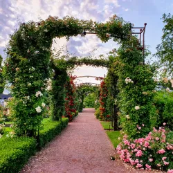 Rosenlunds Rosarium - Jonkoping