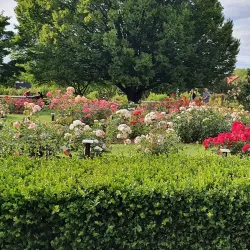 Rosenlunds Rosarium - Jonkoping