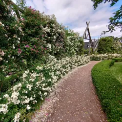 Rosenlunds Rosarium - Jonkoping