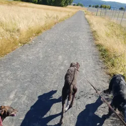 Rosenlundsskogen Nature Reserve - Jonkoping