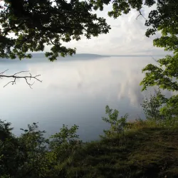 Rosenlundsskogen Nature Reserve - Jonkoping