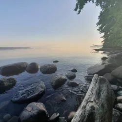 Rosenlundsskogen Nature Reserve - Jonkoping