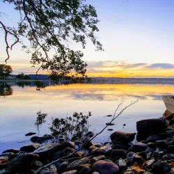 Rosenlundsskogen Nature Reserve - Jonkoping