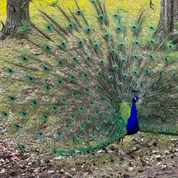 Stadsparken (City Park) - Jonkoping