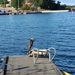 Dragsö Island - Karlskrona
