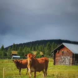 Jukkasjärvi Village - Kiruna