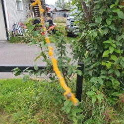 Jukkasjärvi Village - Kiruna