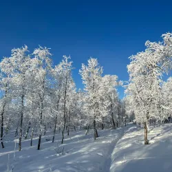 Kiruna Church - Kiruna