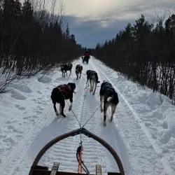 Kiruna Snowmobile Tours - Kiruna