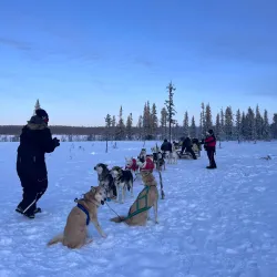 Kiruna Snowmobile Tours - Kiruna