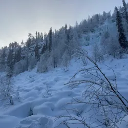 Kiruna Snowmobile Tours - Kiruna