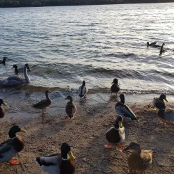 Hässelby Strand Beach - Kista