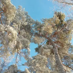 Hässelby Strand Beach - Kista