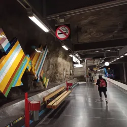 Västra Skogen Metro Station - Kista