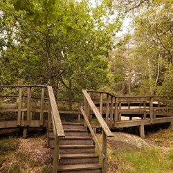 Granby Hällristningar (Rock Carvings) - Knivsta