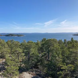 Björnön Nature Reserve - Köping