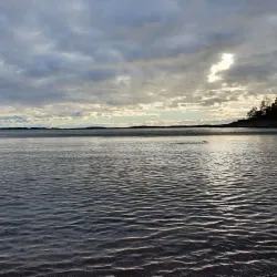 Björnön Nature Reserve - Köping