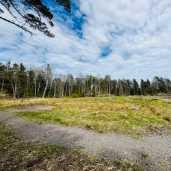 Björnön Nature Reserve - Köping