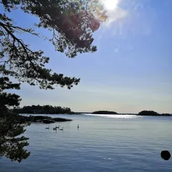 Björnön Nature Reserve - Köping