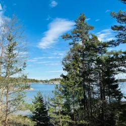 Björnön Nature Reserve - Köping