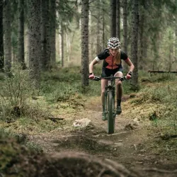 Högbo Bruk - Köping