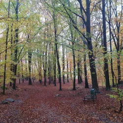 Köping City Park (Stadsparken) - Köping