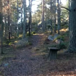 Köping City Park (Stadsparken) - Köping