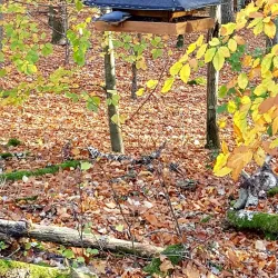 Köping City Park (Stadsparken) - Köping