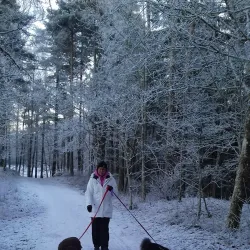 Köping City Park (Stadsparken) - Köping