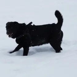 Köping City Park (Stadsparken) - Köping