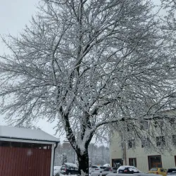 Köping Library - Köping