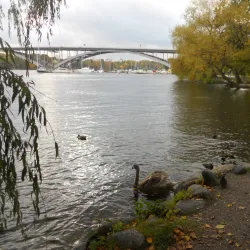 Lake Mälaren - Köping