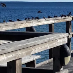 Åhus Beach - Kristianstad