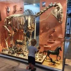 Kristianstad Museum - Kristianstad