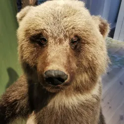 Kristianstad Museum - Kristianstad